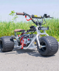2024 GT Special Edition Mini Trike
