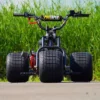 Black Jack Platinum Edition Mini Trike black jack platinum edition mini trike,