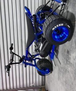 Blue Custom Mini Trike 212cc Engine