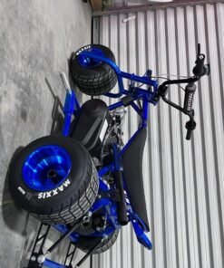 Blue Custom Mini Trike 212cc Engine Blue Custom Mini Trike 212cc Engine