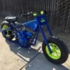 Blue Phantom Mini Racer Blue Phantom Mini Racer