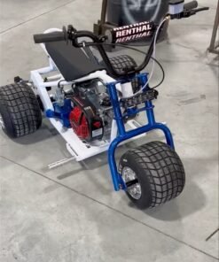 Blue & White Custom Mini Trike