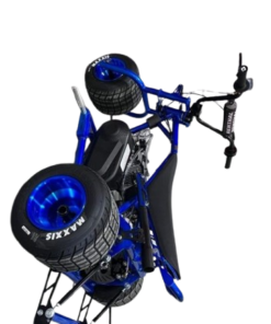 Alternative view of Blue Custom Mini Trike