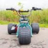 Island Time Special Edition Mini Trike Island Time Special Edition Mini Trike