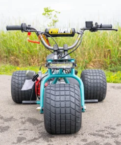 Island Time Special Edition Mini Trike