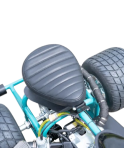 Alternative view of Island Time Special Edition Mini Trike