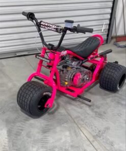 Pink Custom Mini Trike