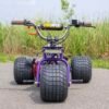 Purple Haze Special Edition Mini Trike Purple Haze Special Edition Mini Trike