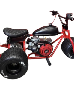 Racing Raspberry mini trike
