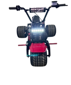 Red & Black Premium Mini Trike