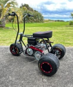 Rogue Beast 70 Mini Drift Trike