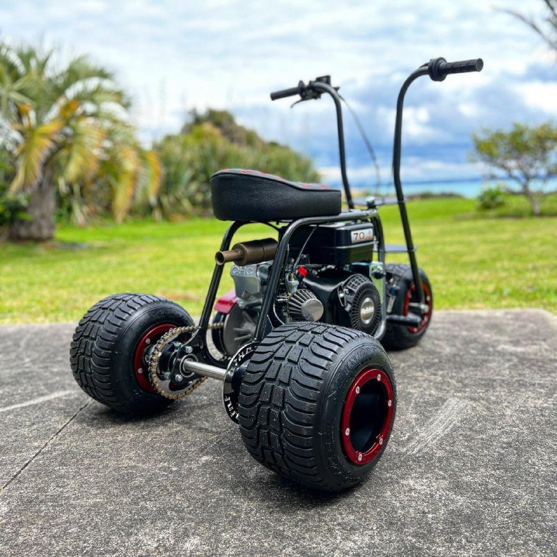 Rogue Beast 70 Mini Drift Trike Rogue Beast 70 Mini Drift Trike